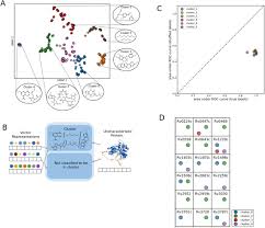 Enzyme Subtrate with Protein Languague Models