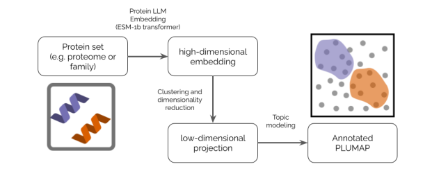 Sequence similarity with PLMs