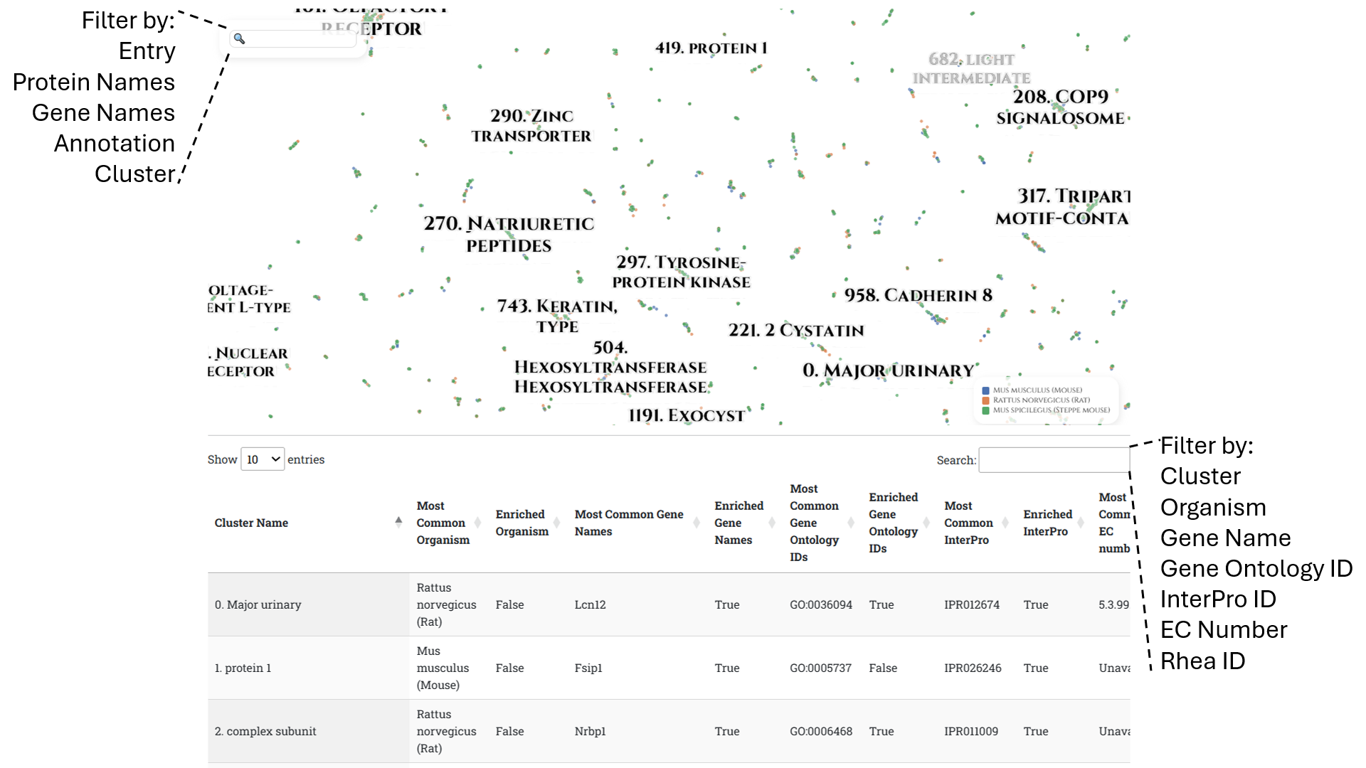 Guide to use the PLVis website.